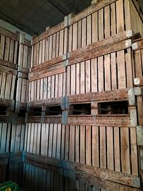 Bins grandi in legno