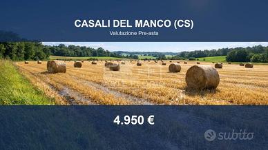 Immobile in asta di 8070 m² a Casali del Manco