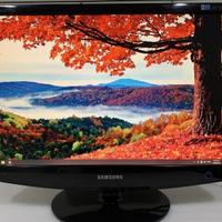 Monitor pc Samsung 22 pollici 2232BW (VGA e DVI)