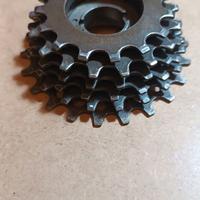 Pacco pignoni 6 V Eroica