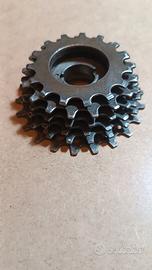 Pacco pignoni 6 V Eroica