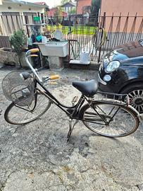 bici snoozer