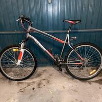 Bici mtb