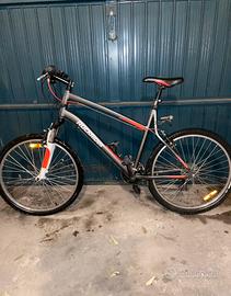 Bici mtb