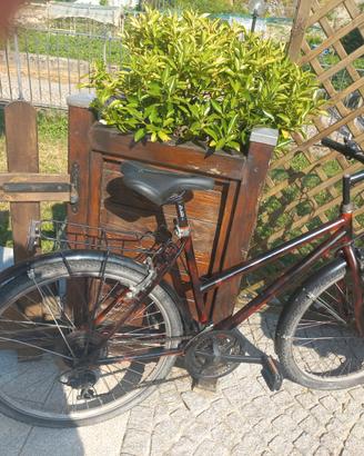 City Bike