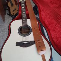 Chitarra Eko 12 corde Custom