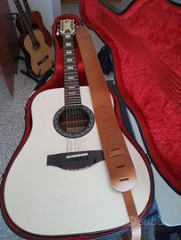 Chitarra Eko 12 corde Custom