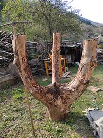 tronco in legno per scultura