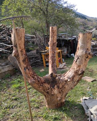 tronco in legno per scultura