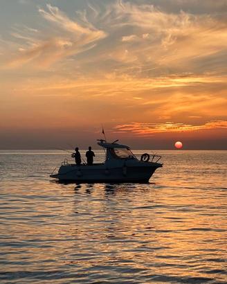 Arvor 210