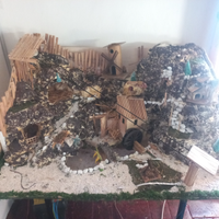 Peesepe dinamico artigianale