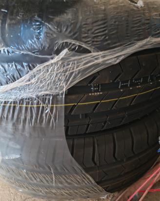 gomme estive