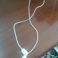 Prolunga USB Apple
