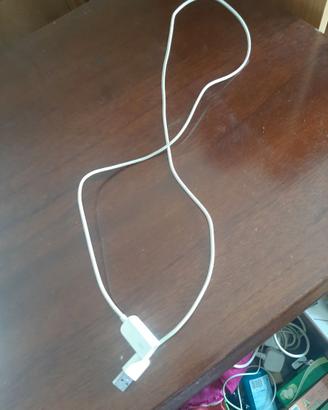 Prolunga USB Apple