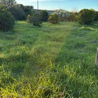 Decimomannu terreno agricolo 1500mq