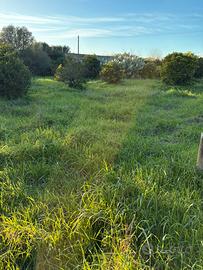 Decimomannu terreno agricolo 1500mq