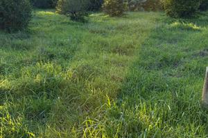 Decimomannu terreno agricolo 1500mq