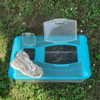 Vaschetta x tartarughe