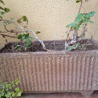 fioriera vasca cemento vintage anni 80