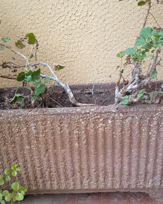 fioriera vasca cemento vintage anni 80