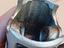 Immagine 4