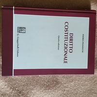 Diritto costituzionale Pisaneschi 4° edizione