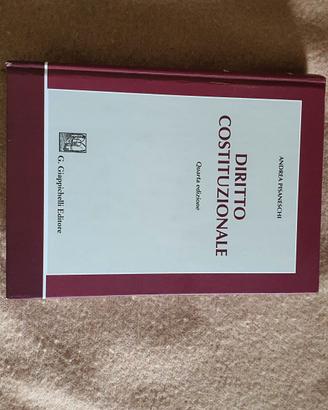 Diritto costituzionale Pisaneschi 4° edizione