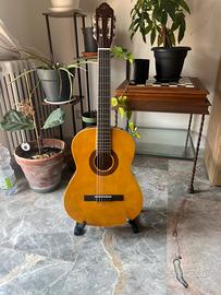 Chitarra Eko CS-10