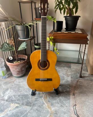 Chitarra Eko CS-10