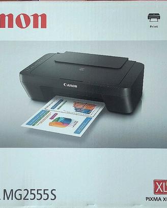Stampante Canon Pixma MG2555S