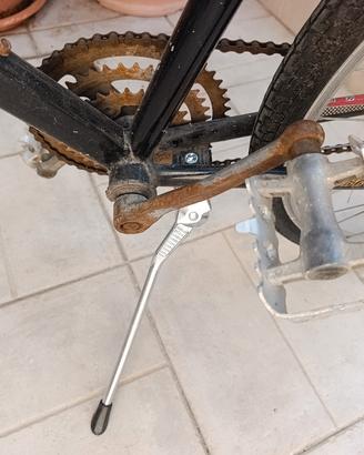 bicicletta campagnolo 