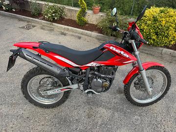 Beta alp 4.0