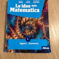 Le idee della matematica 1