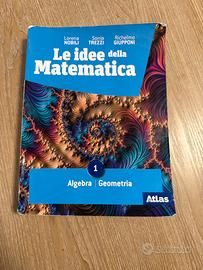 Le idee della matematica 1