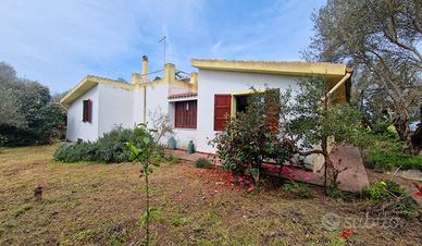 Alghero Punta Moro casa con 4000 m terreno