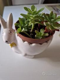 Vaso pasquale in ceramica. 