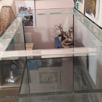 Acquario 450 litri