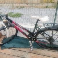 Bici Galetti donna usata