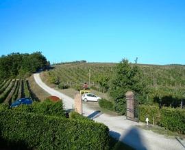 Azienda Vitivinicola San Gimignano