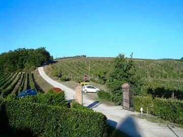 Azienda Vitivinicola San Gimignano