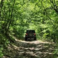 CHRYSLER Altro modello - 2020