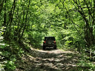 CHRYSLER Altro modello - 2020