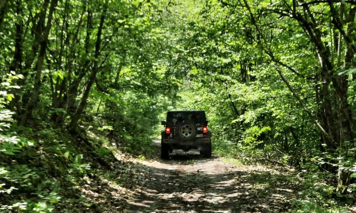 CHRYSLER Altro modello - 2020