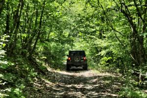 CHRYSLER Altro modello - 2020