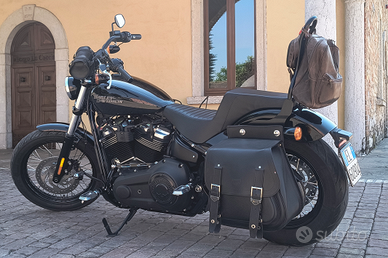 Harley Street Bob FXBB