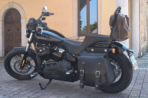 Harley Street Bob FXBB