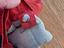 Immagine 6