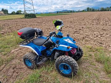 kymco 250