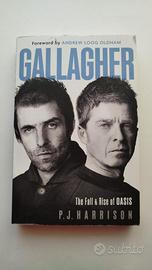 Gallagher - The Fall and Rise of Oasis