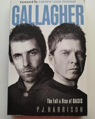 Gallagher - The Fall and Rise of Oasis